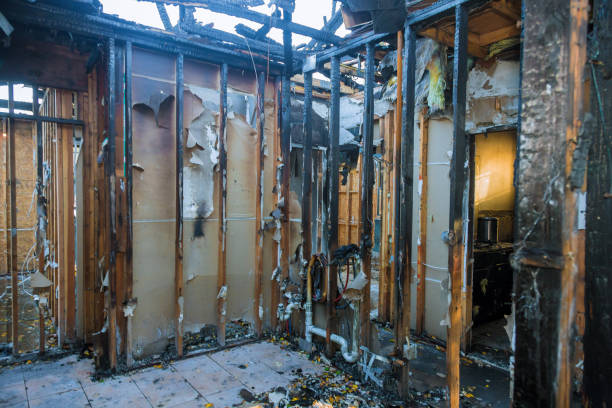 Professional Fire Damage Repair technician working in Monrovia, MD